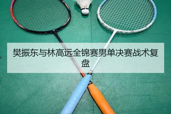 樊振东与林高远全锦赛男单决赛战术复盘